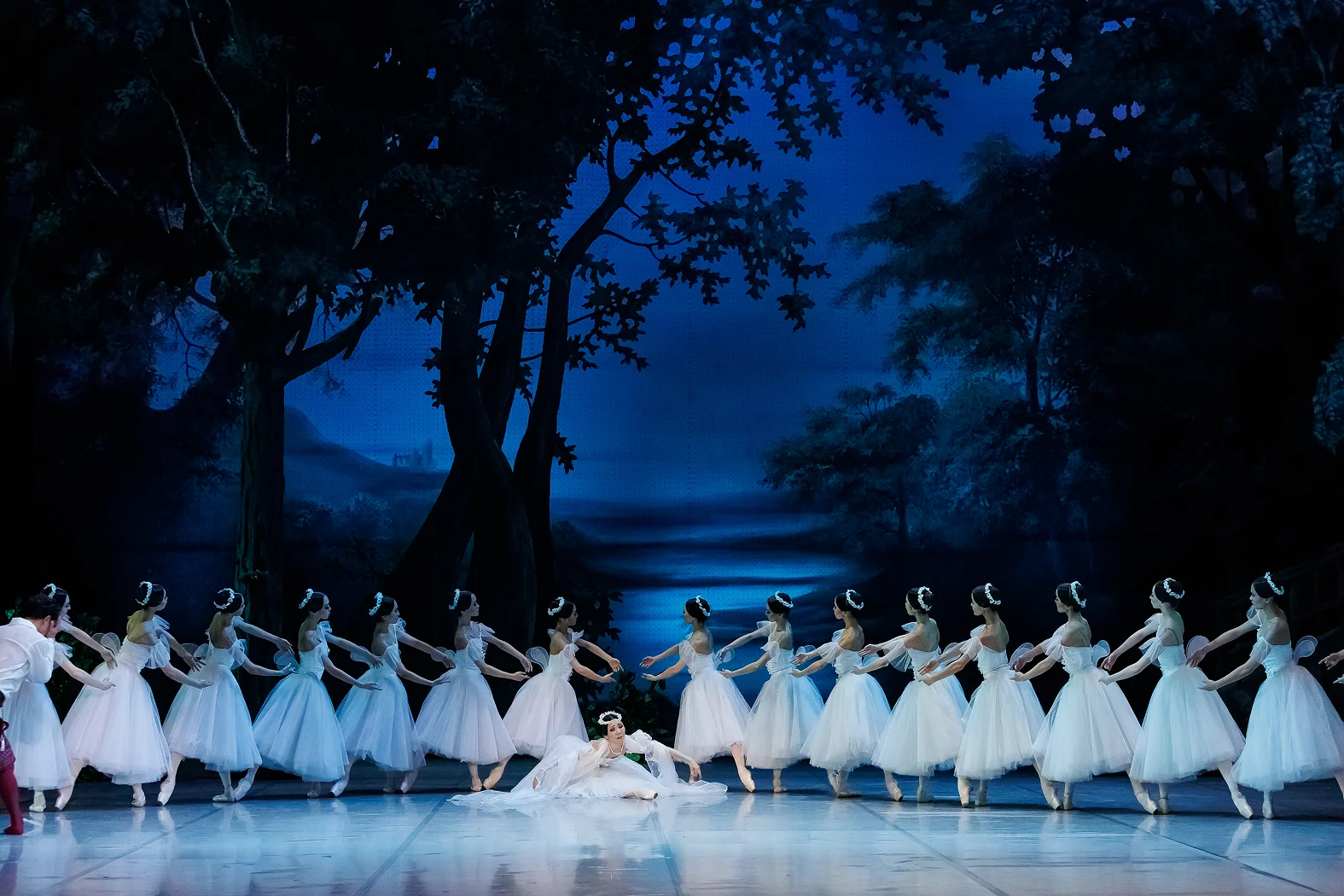 Сильфида - Казахский национальный театр оперы и балета имени Абая