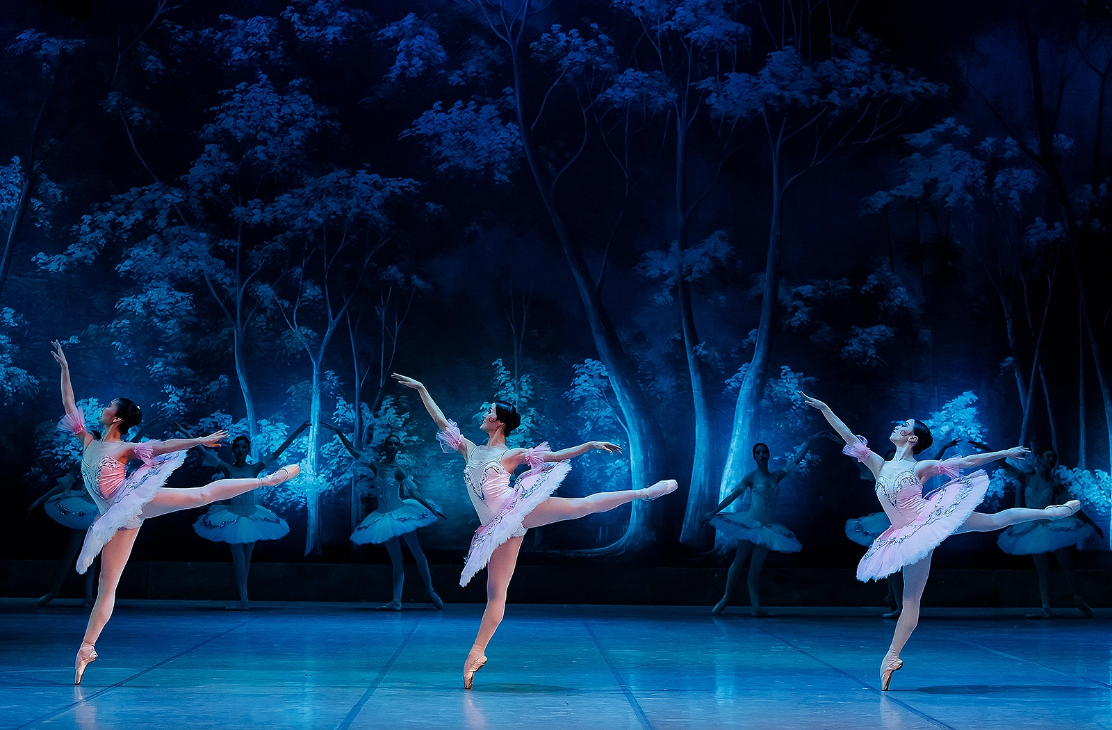 Дон Кихот - Казахский национальный театр оперы и балета имени Абая